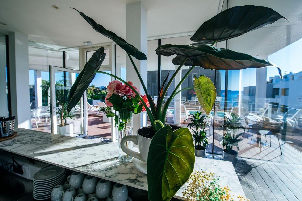Dedaj Resort - Villa Auri Zadar Zewnętrze zdjęcie