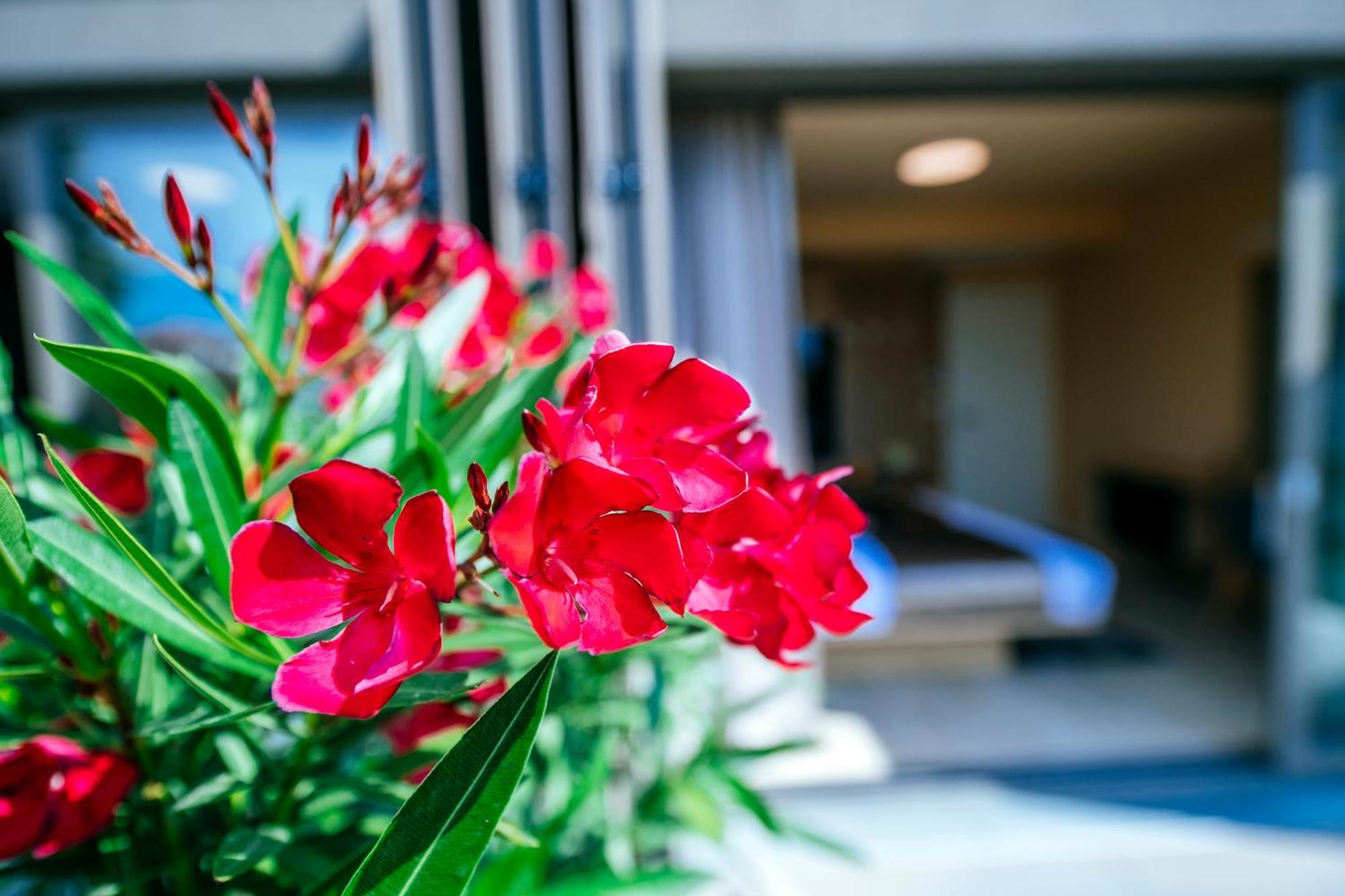 Dedaj Resort - Villa Auri Zadar Pokój zdjęcie